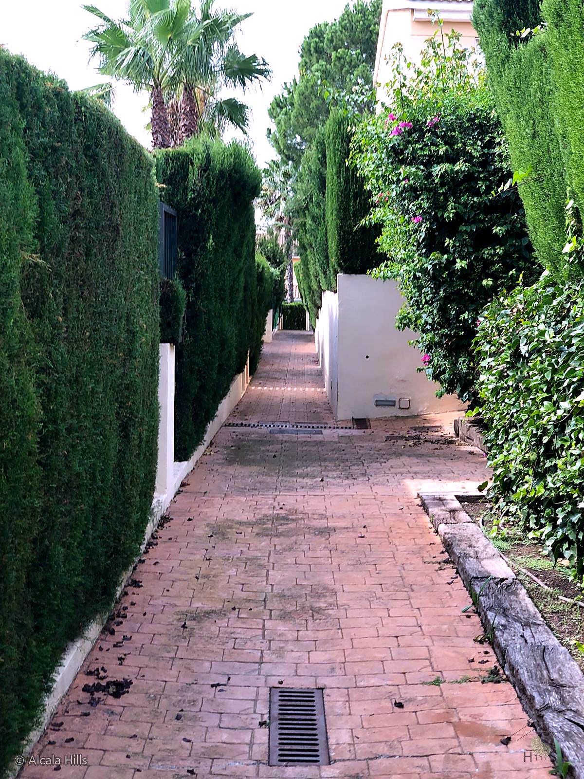 Mediterranean garden within the community.