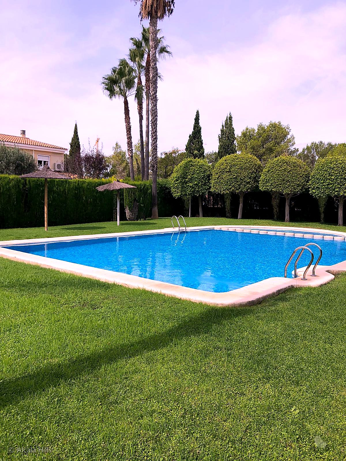 Community swimming pool with lawn and palm trees.