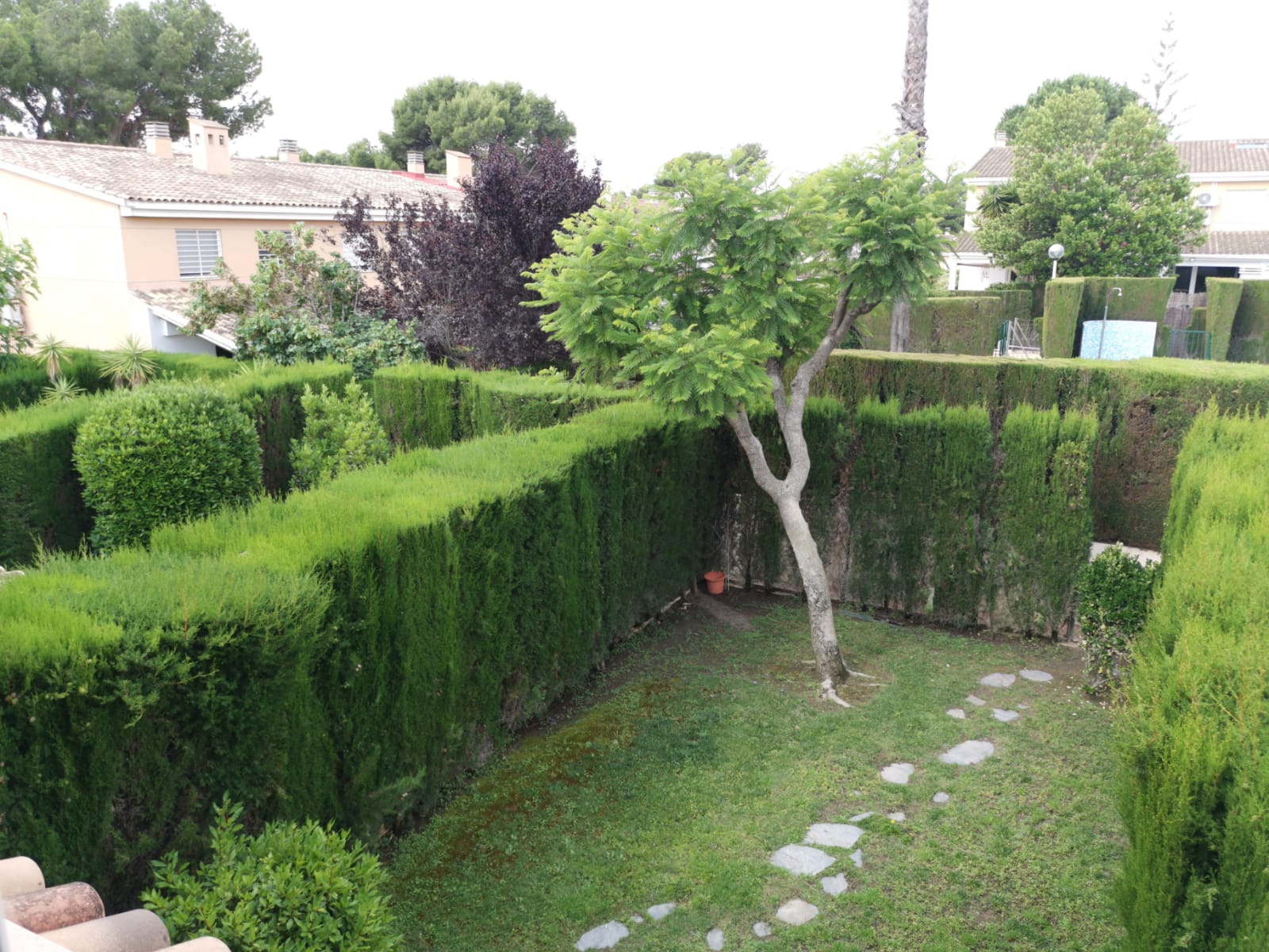 Private hedged garden with lawn and a tree (provisional photo).