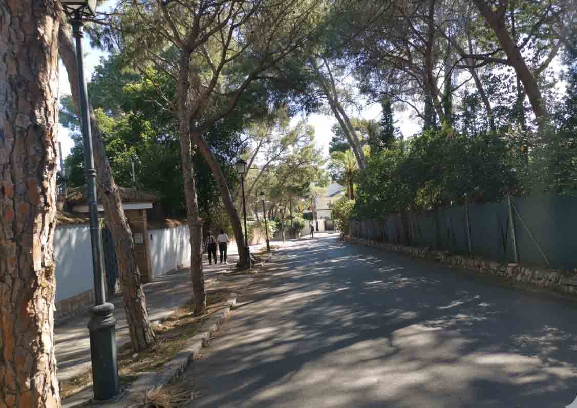 A leafy Campolivar avenue with iron lampposts and residents walking in the shade of pines.