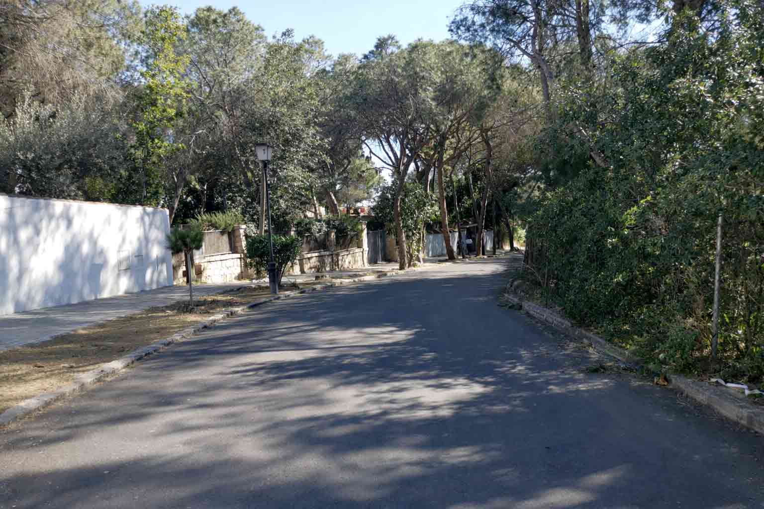 Quiet residential street in Campolivar with a white perimeter wall and umbrella pines.